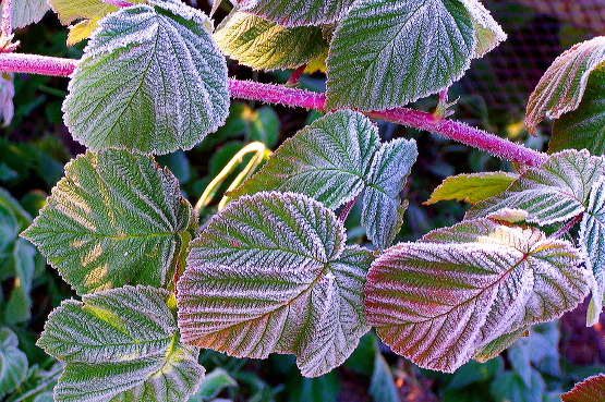 100_0019.jpg